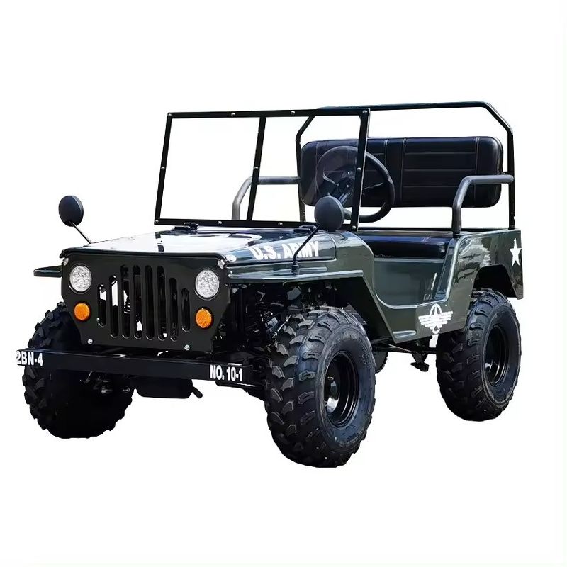 Electric 2 Seater Off Road Sand Buggy for Children Maximum Speed 50-75Km/h Voltage 48V