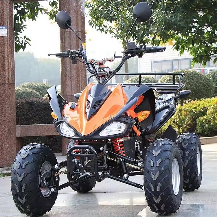 800w/1000w 48v/60v ATV Brushless Motor Electric 4 Wheel Quad Bike ATV for Smooth Ride