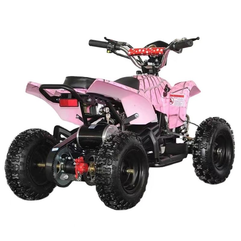 4.10-6/13X5.0-6 Tire Aotong Motor 800w/1000w Electric Power Sports Quad Bike for Kids
