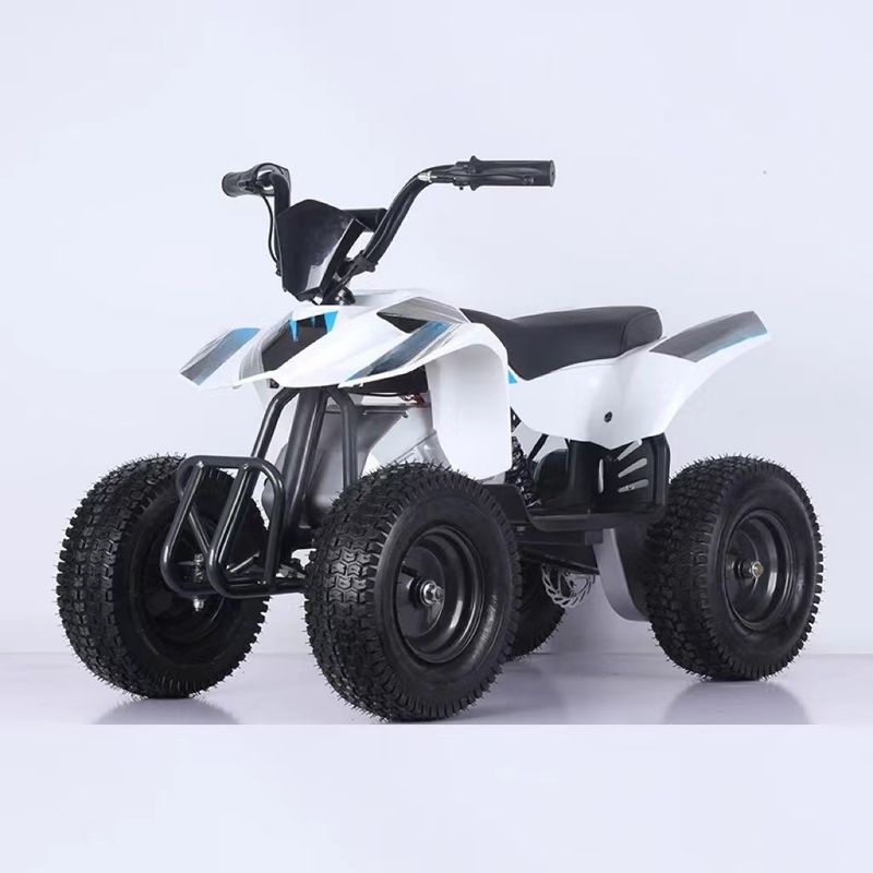 350W Electric 4 Wheelers Mini ATV for Kids and Minimum Grand Clearance ≤100mm