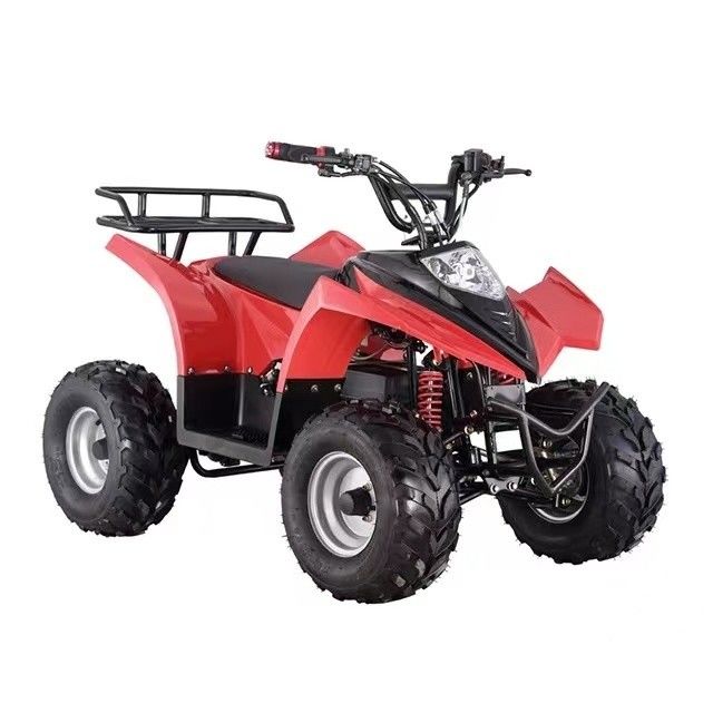 Electric Quad ATV for Children 750W 800W 1000W 48V Tire 16x8-7 Driving Mileage ≤30km