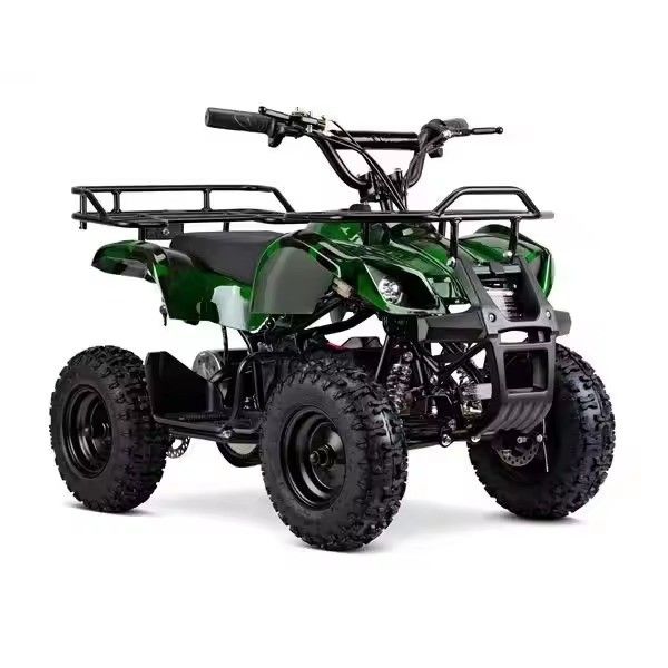Front Disc Rear Disc Brake System Aotong Motor 36V 500W Kids Electric ATV Quad Bike