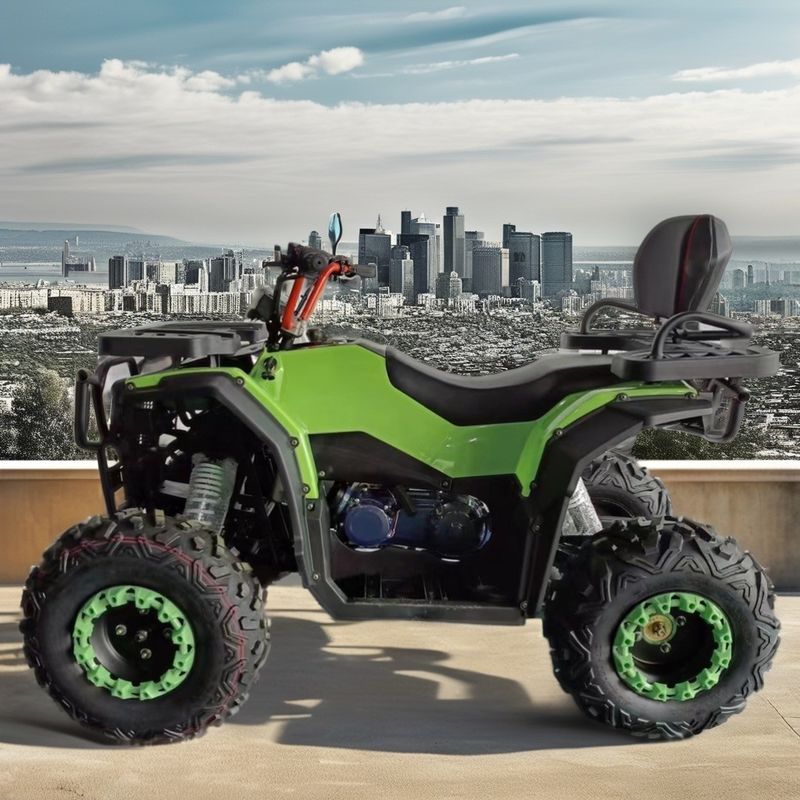 250cc Displacement Four-Stroke Air-Cooled Gasoline ATV Motorcycle for 2WD Driving Fun