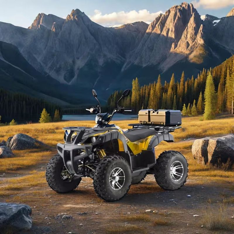 DISC Brake Electric 3000w Dune Buggy for Adults 1500w*2 UTV ATV 4x4 Off-Road Vehicle