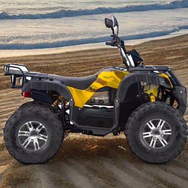 Maximum Speed 50-75Km/h 3000W Electric ATV with 4WD and 60v Automatic Transmission