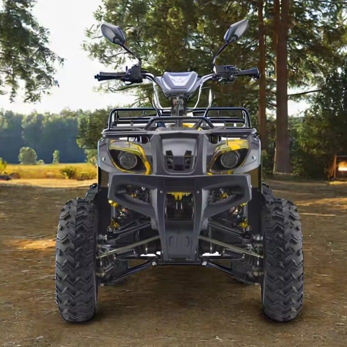 Powerful 3000W 1500W 4WD 4x4 Moto ATV UTV 1000cc Quad ATV with Wheelbase 1800-2200mm