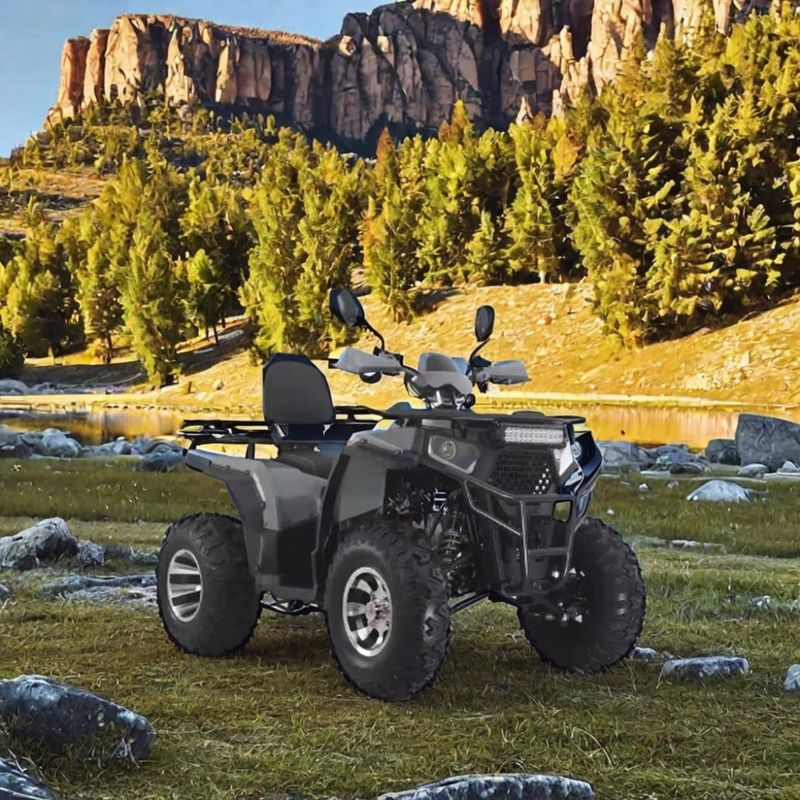 Automatic Transmission Type Four Wheel Off-Road Motorcycle for Adult Off Road Riding