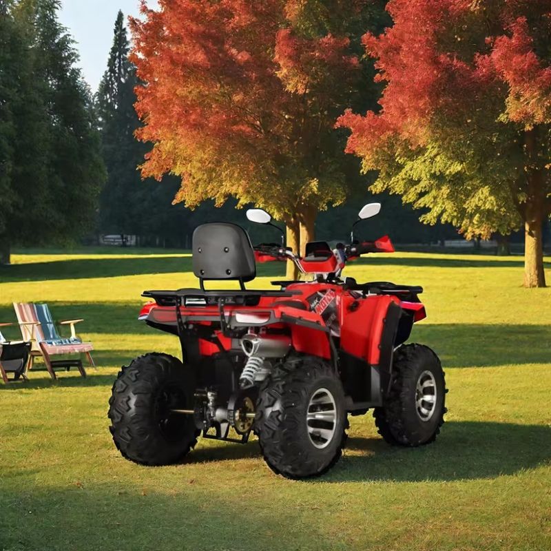 Fuel Gas/Diesel Farm ATV 200cc/250cc 4 Wheel ATV with Maximum Torque Nm ≤20Nm