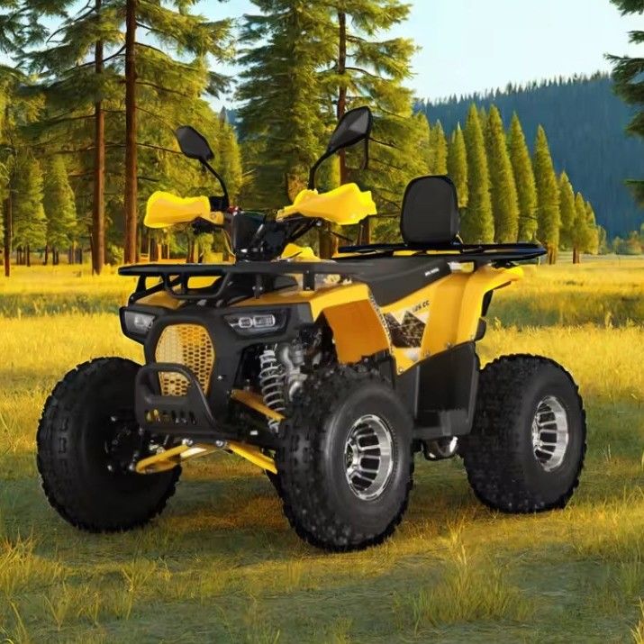 125cc Farm Quads ATV for Adults Powerful Gas / Diesel Engine and Chain Drive