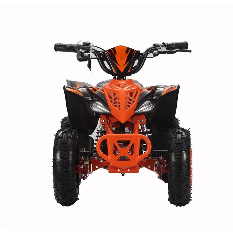 Brake System Front Disc Rear Disc 36v 48v 60v 1000w Electric Atv for Kids or Adults