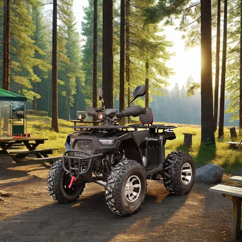 2WD Maximum Speed 50-75Km/h 125cc 150cc 200cc ATVs UTVs Off Road Cuatrimoto