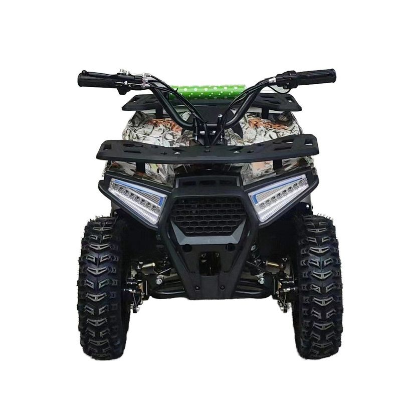 Powerful 125cc Gasoline Adult ATV Quad Bike with 12V Voltage and Curb Weight of 100-200kg