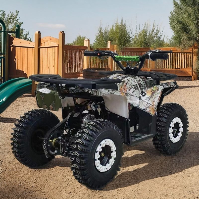 4-Stroke Engine Gas Powered Kids Quad Bike ATV 110cc 125cc 150cc Four Wheeler with CE