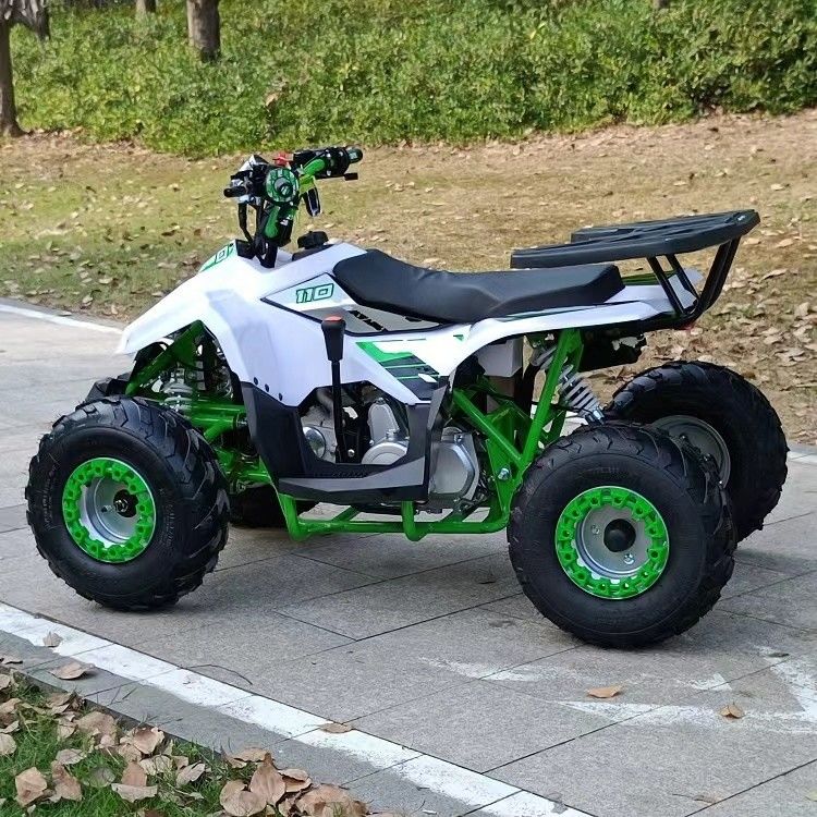 Front Drum and Rear Disc Brake 4 Stroke Off-Road Vehicle with Chain Drive Transmission