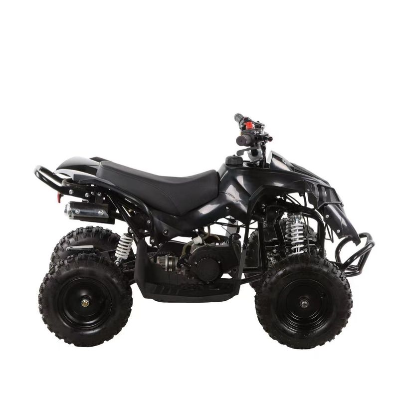 Mini ATV 49cc Quad Bike for Kids and Adults Fuel Gas/Diesel Unequipped Differential Lock