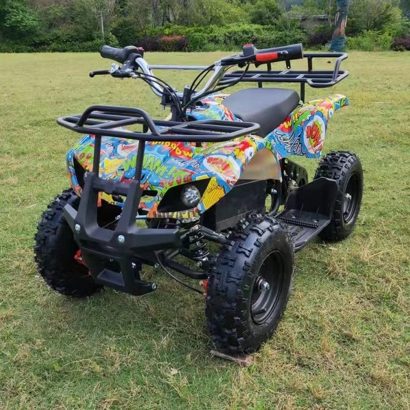 500W Mini Quad ATV for Kids 800W 1000W Electric Powered at Transmission CHAIN DRIVE
