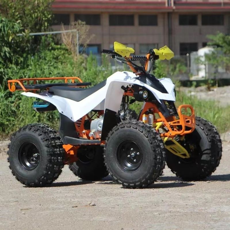 150cc 200CC 250CC Automatic Transmission Four-Wheel Off-Road Quad Bike ATV for Mountain