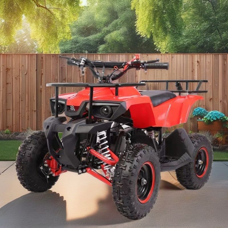 49CC Mini Quad with Low Fuel Consumption Maximum Torque Nm ≤20Nm Fuel Gas / Diesel