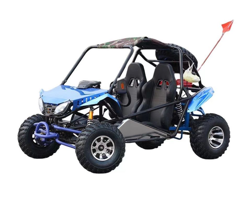 200cc Go Karts ATV Quad 2WD Off-Road Buggy with Vacuum Tires and 200-300kg Curb Weight