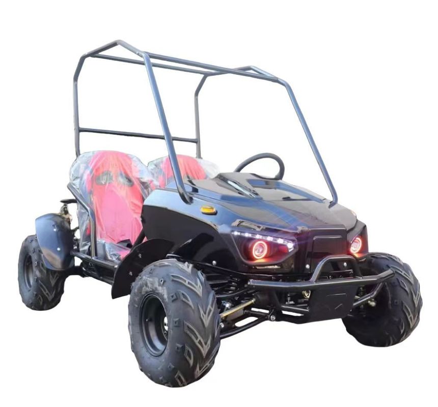 Two Seats Electric Go Cart with Front Disc Rear Disc Brake System and 60V Voltage